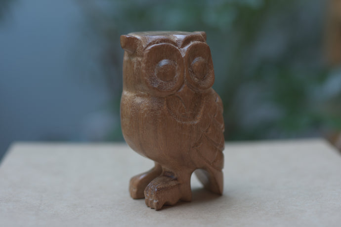 Wooden Owl Instrument