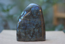 Load image into Gallery viewer, Polished Labradorite Standing Freeform
