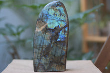 Load image into Gallery viewer, Polished Labradorite Standing Freeform
