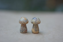 Load image into Gallery viewer, Crystal Mushrooms - Large
